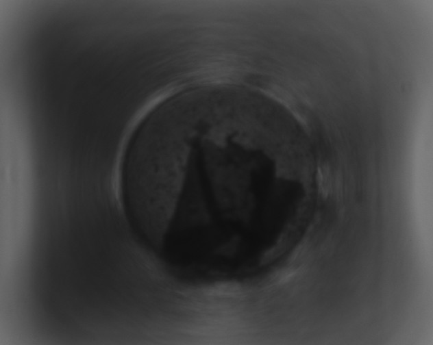 X0000100900196200807081110