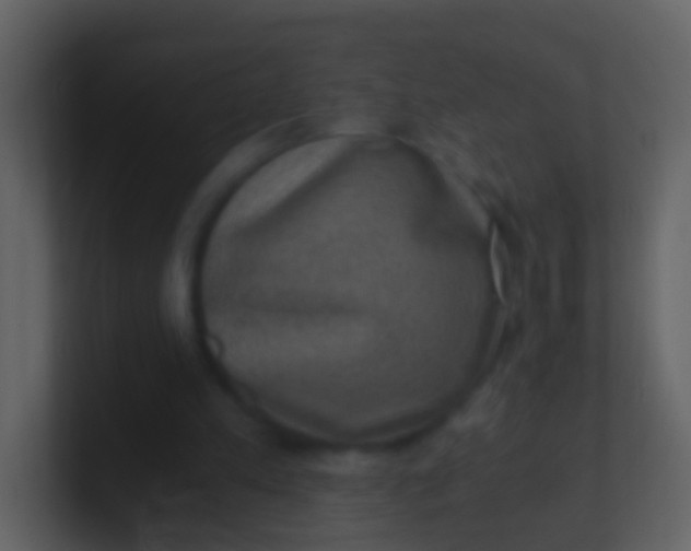 X0000100900197200807081110