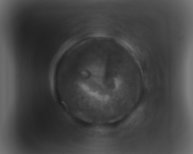 X0000100900199200807081110