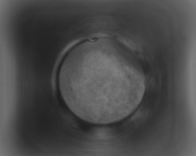 X0000100900200200807081110