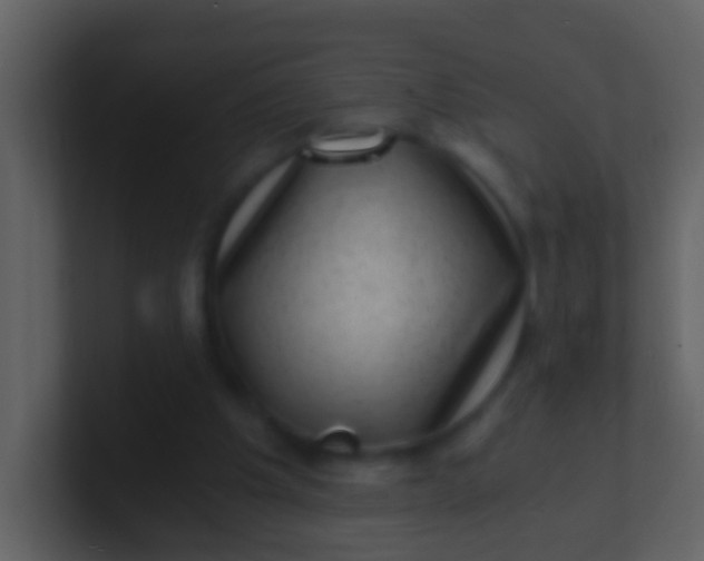 X0000100900201200807081110