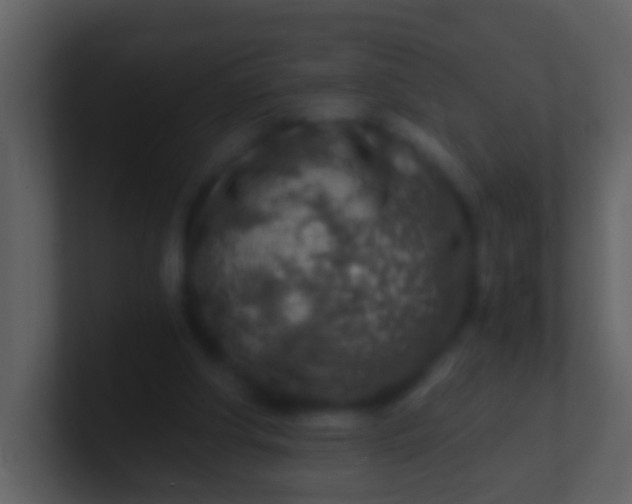 X0000100900202200807081110