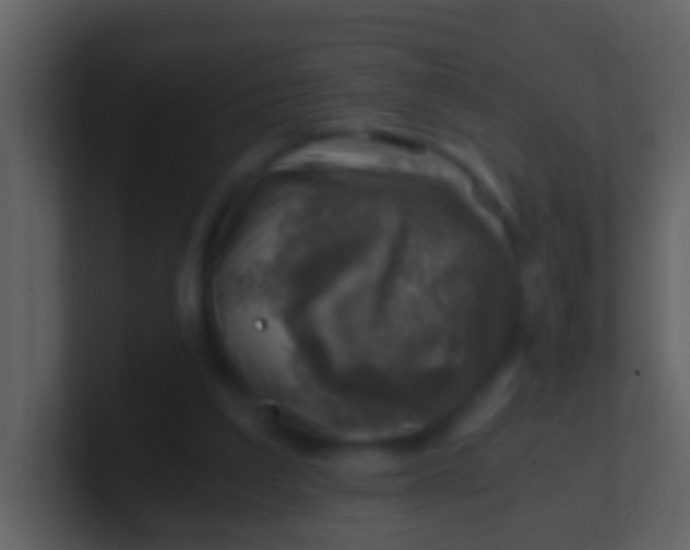 X0000100900203200807081110