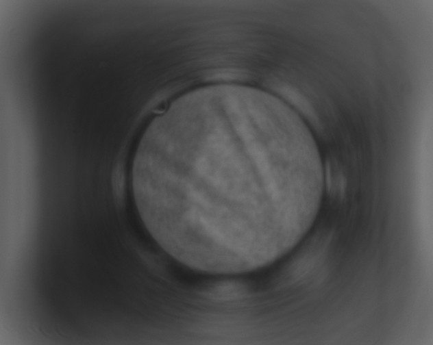 X0000100900204200807081110