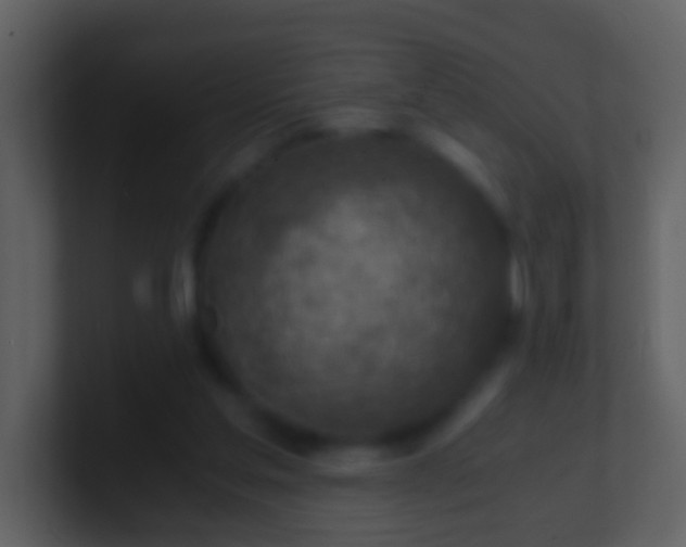 X0000100900205200807081110