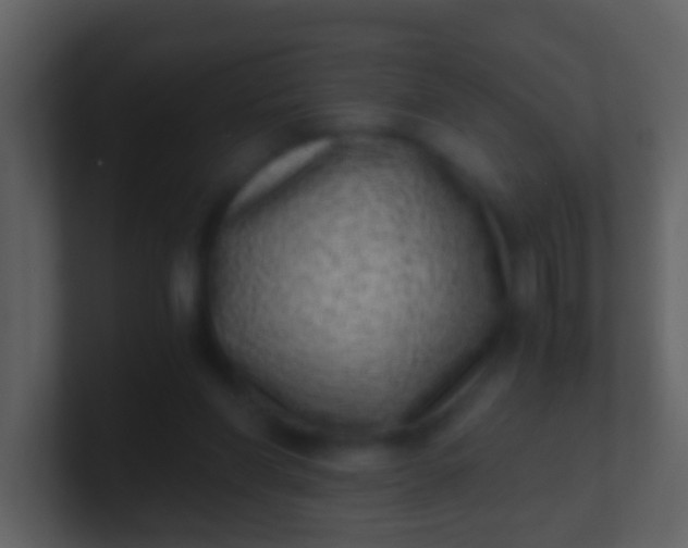 X0000100900206200807081110