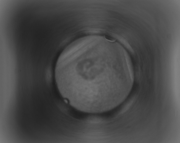 X0000100900207200807081110