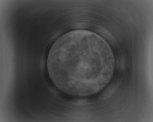 X0000100900208200807081110