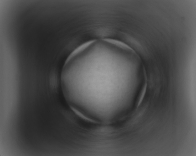 X0000100900210200807081110