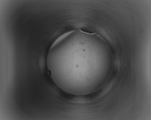 X0000100900211200807081110