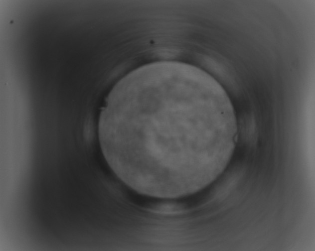 X0000100900212200807081110