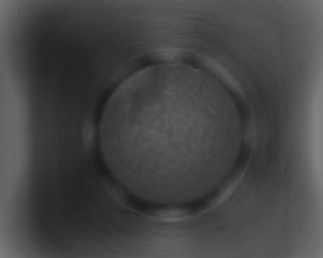 X0000100900213200807081110