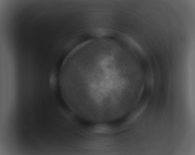 X0000100900214200807081110