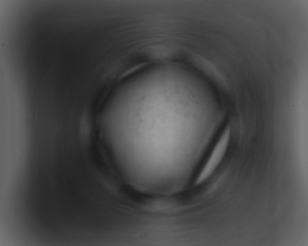 X0000100900215200807081110