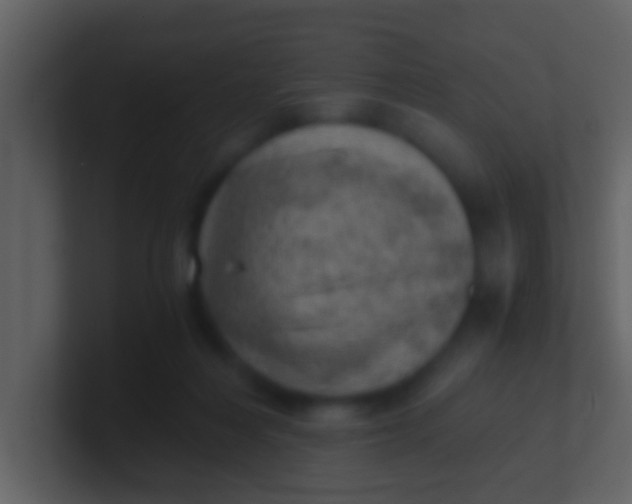 X0000100900216200807081110