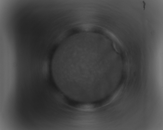 X0000100900217200807081110