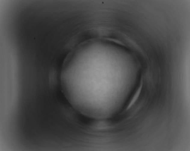 X0000100900218200807081110