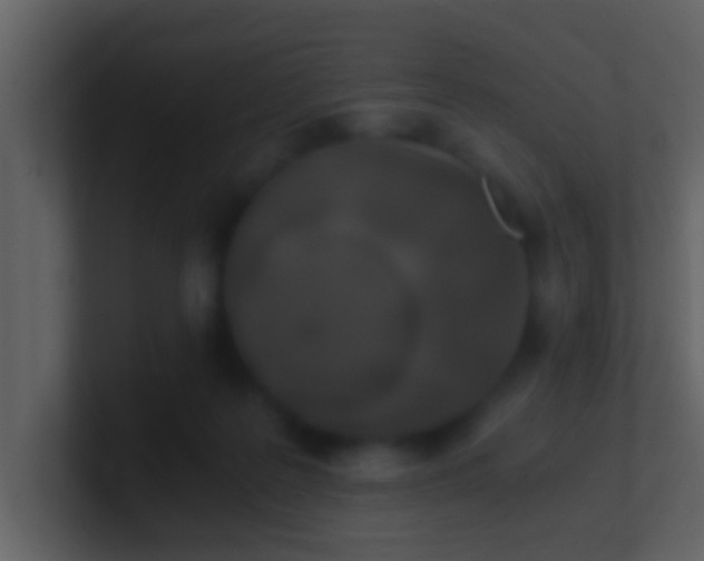 X0000100900219200807081110