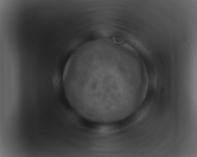 X0000100900220200807081109