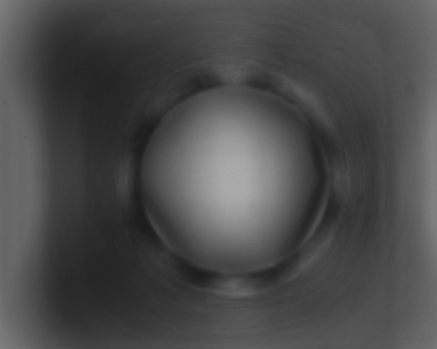 X0000100900221200807081109