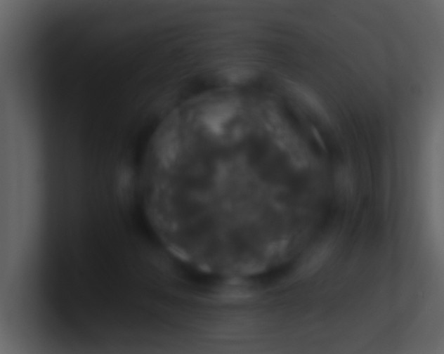 X0000100900222200807081109