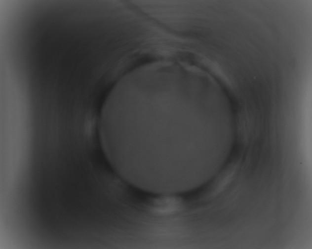 X0000100900225200807081109