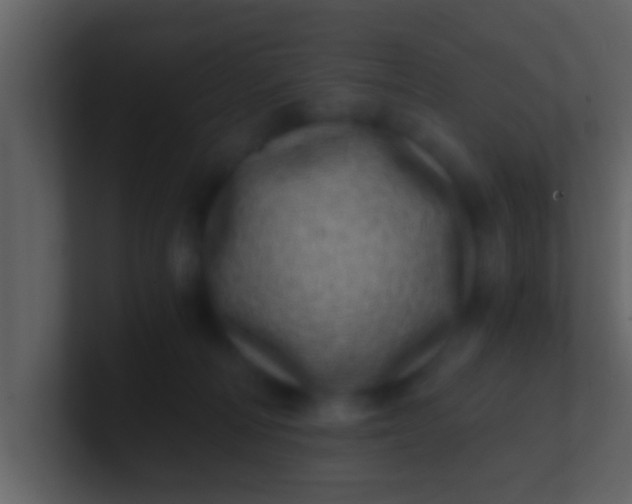 X0000100900226200807081109