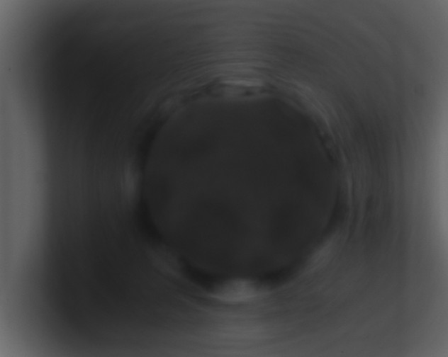 X0000100900227200807081109