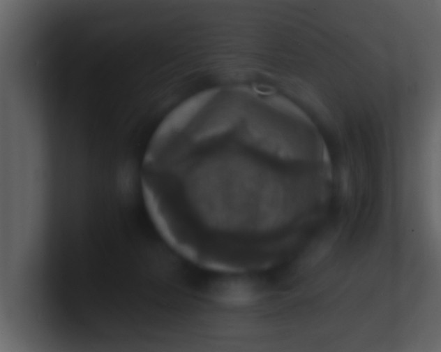 X0000100900228200807081109