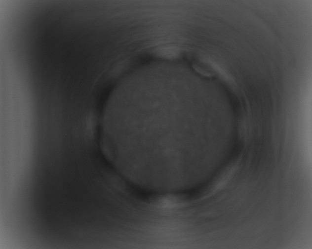 X0000100900229200807081109