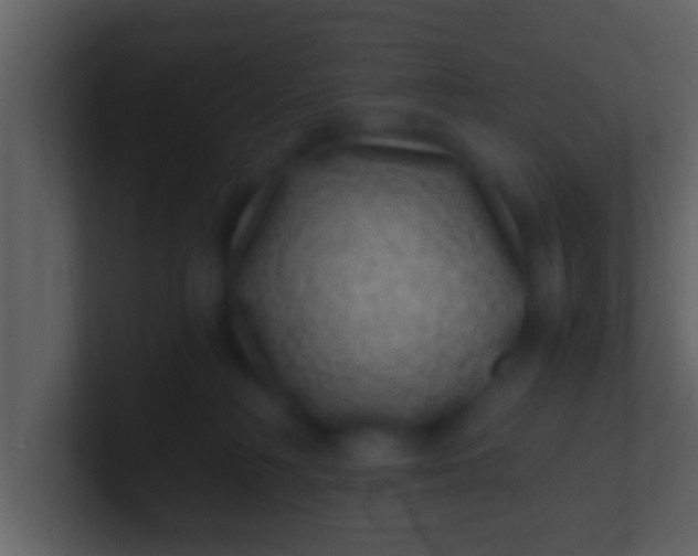 X0000100900230200807081109