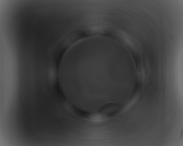 X0000100900231200807081109