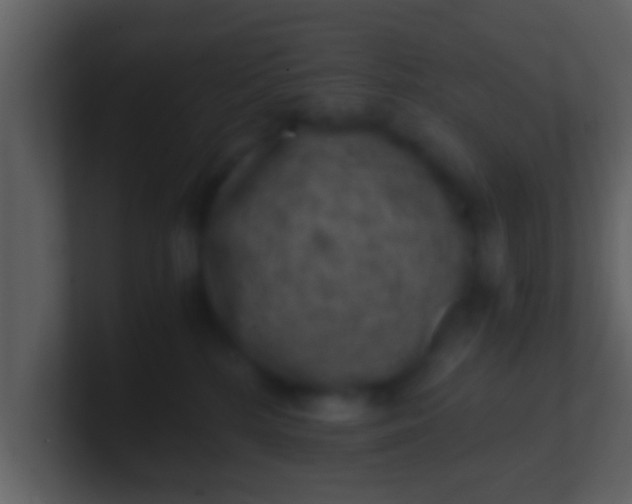 X0000100900232200807081109