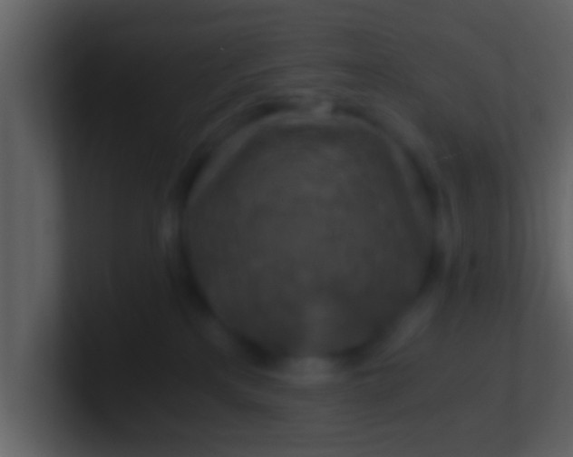 X0000100900233200807081109