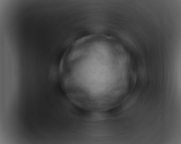 X0000100900234200807081109