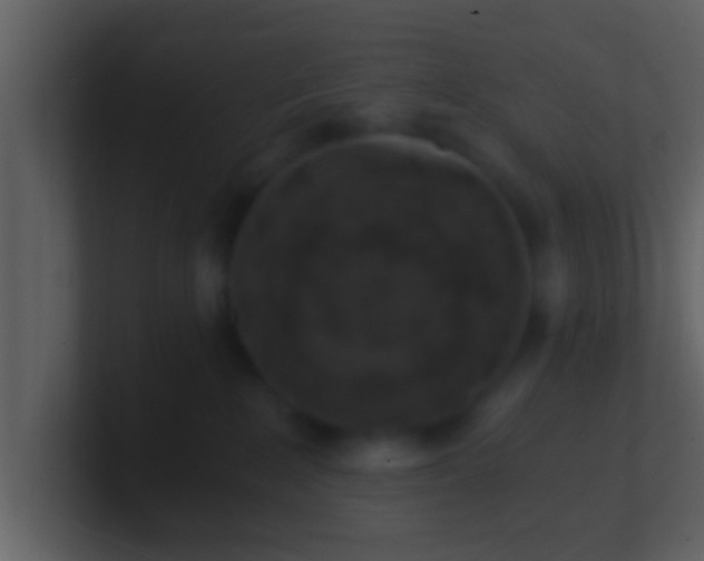 X0000100900235200807081109