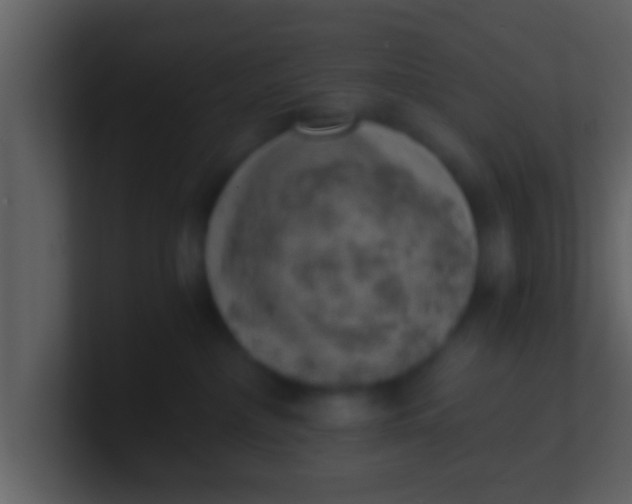 X0000100900236200807081109