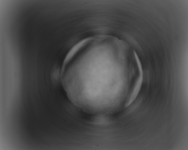 X0000100900238200807081109