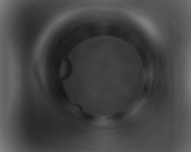 X0000100900239200807081109