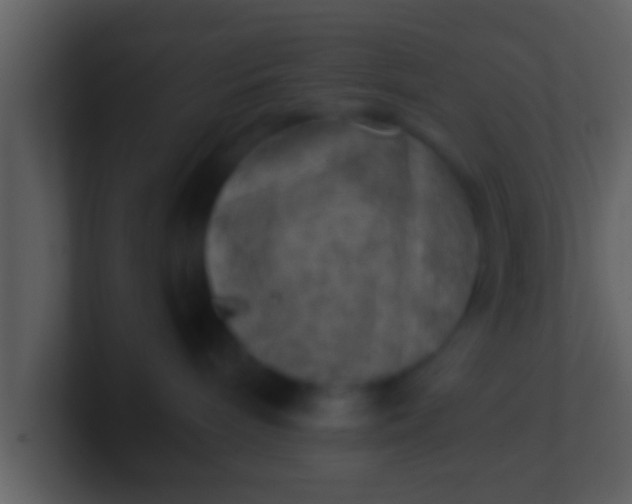 X0000100900240200807081109