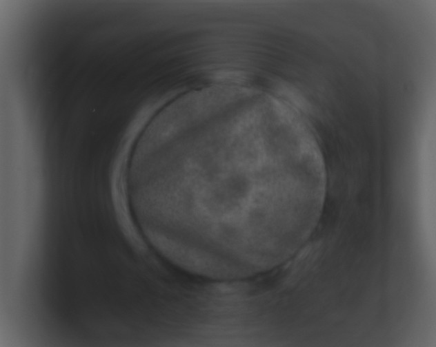 X0000100900241200807081109