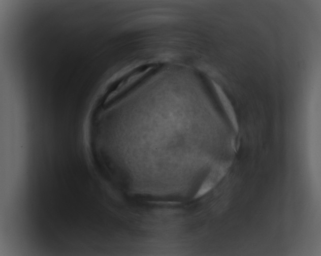 X0000100900242200807081109