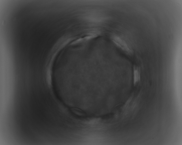 X0000100900243200807081109