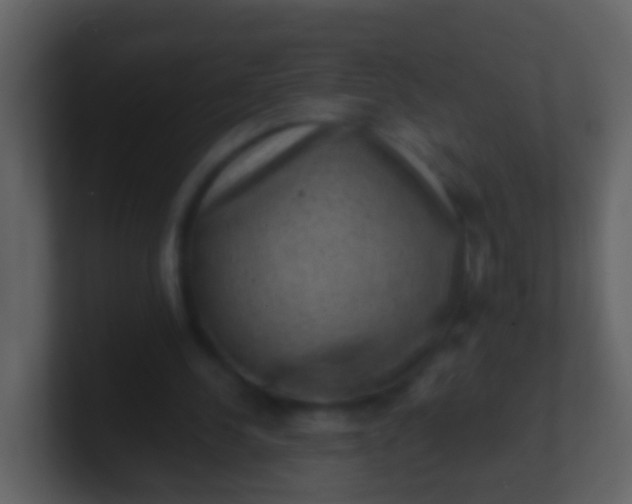 X0000100900244200807081109