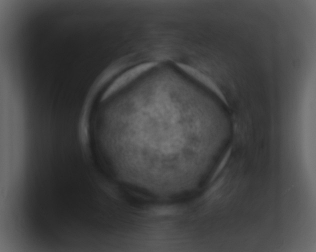 X0000100900246200807081109