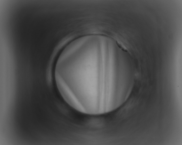 X0000100900248200807081109