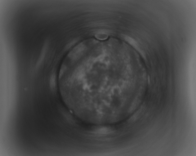 X0000100900249200807081109