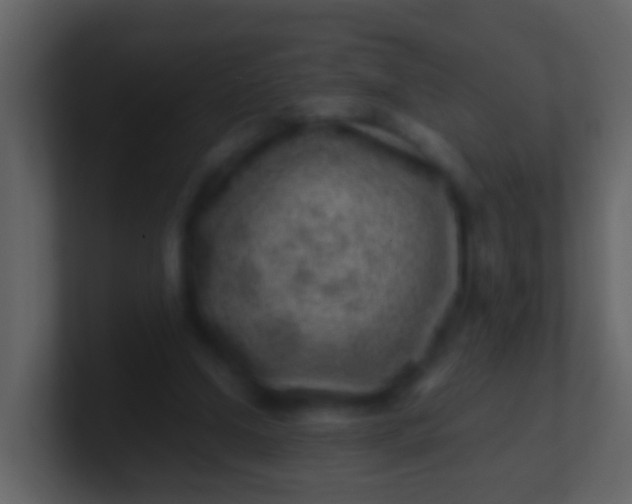 X0000100900250200807081109