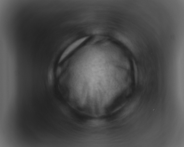 X0000100900251200807081109