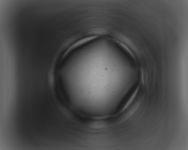 X0000100900252200807081109